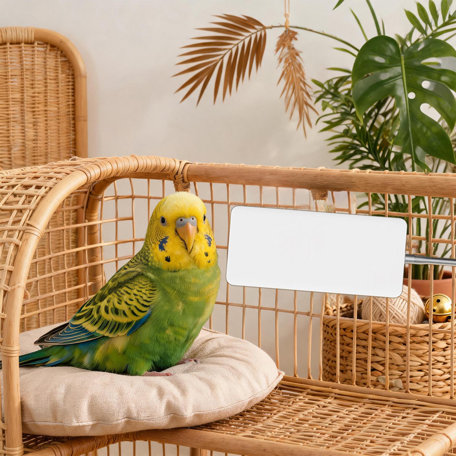 Smart Garden Bird Bath - Riscaldatore per Uccelli 5V Sicuro, Attrezzatura