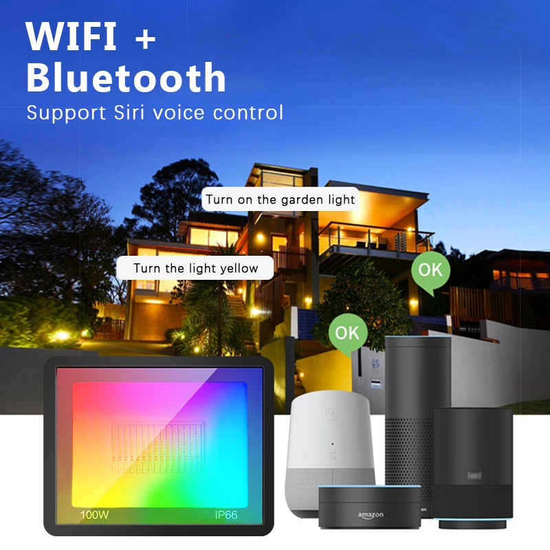 RGB TUYA Proiettore Smart APP  - Smart Garden Drawing recensione e prezzo
