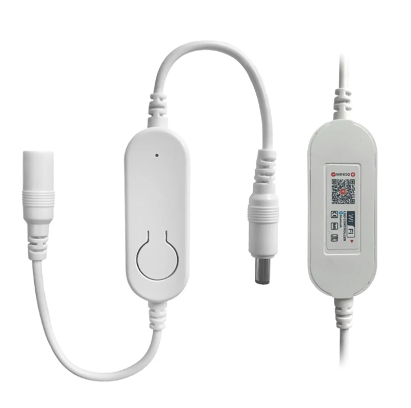 DC12V-24V Tuya Wifi Controller - Smart Garden Light Controller recensione e prezzo