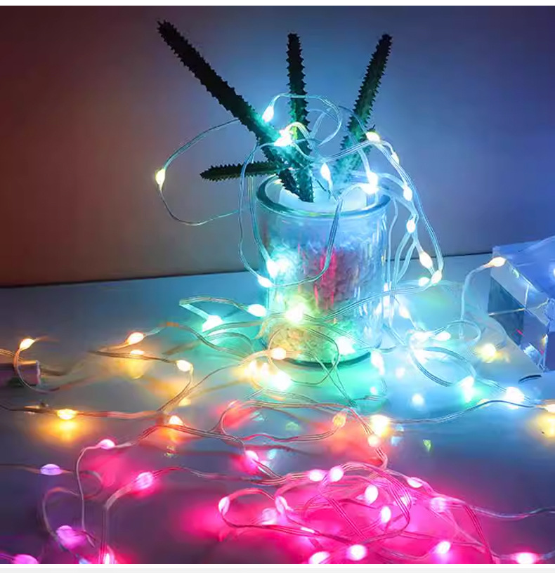 Luci a Stringa LED RGB Aliment - Smart Garden Light Controller recensione e prezzo