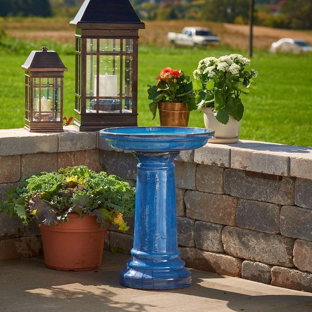 Smart r Aviatra Ciotola per Uc - Smart Garden Bird Bath recensione e prezzo